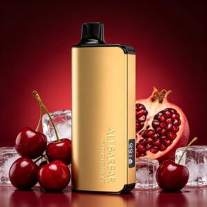 ALIBARBAR INGOT 9000 Puffs - Cherry Pomegranate