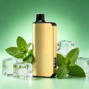 ALIBARBAR INGOT 9000 Puffs - Cool Mint