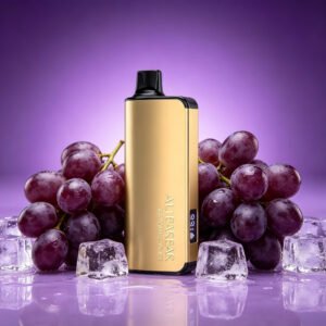 ALIBARBAR INGOT 9000 Puffs - Grape Ice