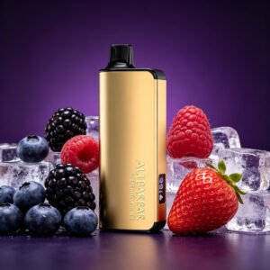 ALIBARBAR INGOT 9000 Puffs - Quadruple Berry