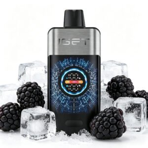 IGET ONE 12000 Puffs - Blackberry Ice