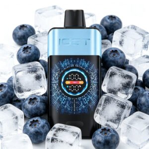 IGET ONE 12000 Puffs - Blueberry Ice