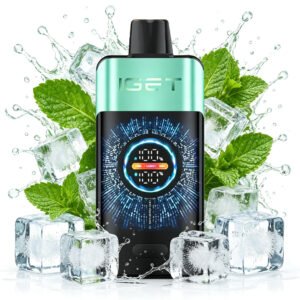 IGET ONE 12000 Puffs - Mountain Spring Mint Ice